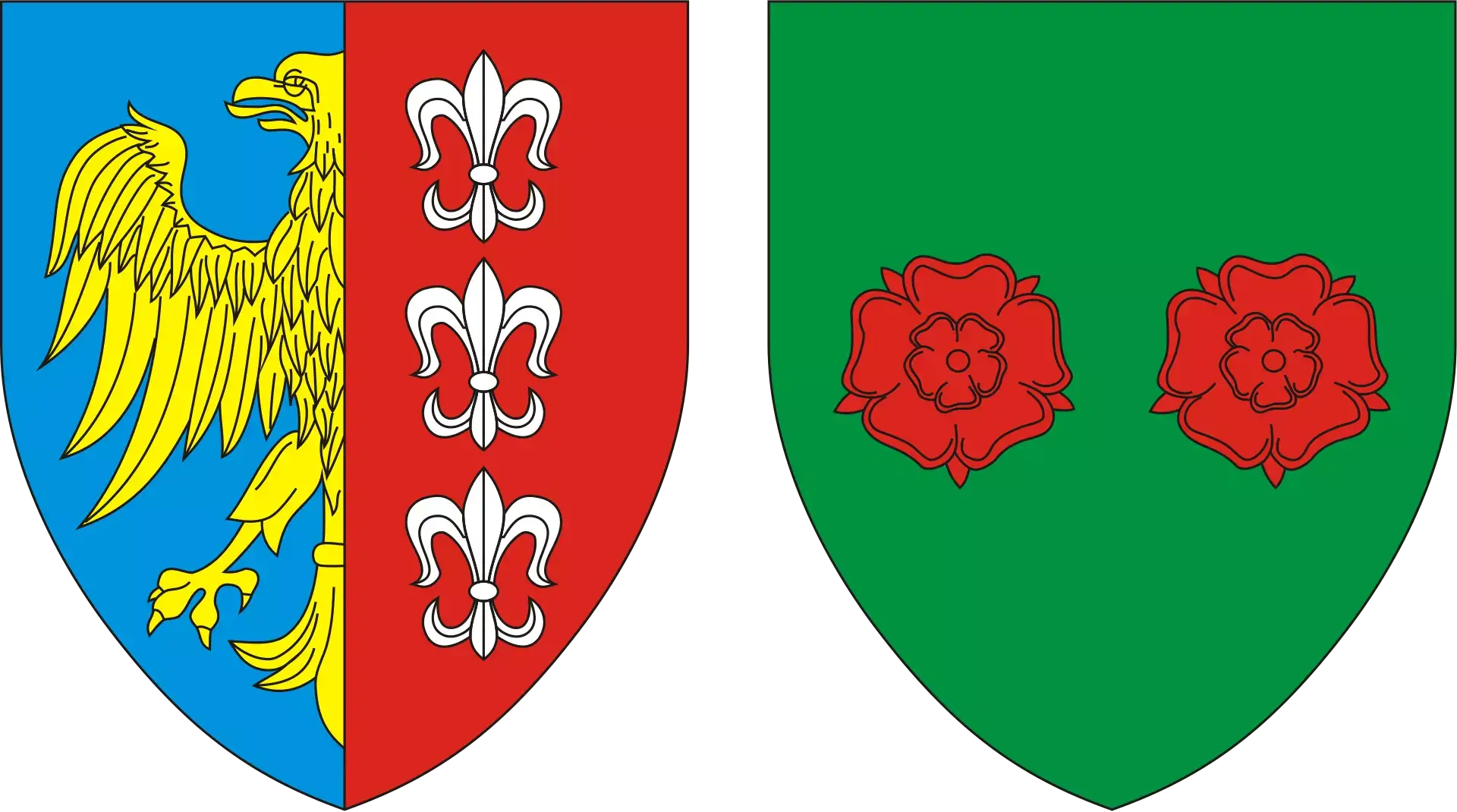 Strony internetowe Bielsko-Biała - Herb